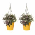 Next2Nature S/2 Enameled Galvanized Steel Hanging Planter NE3539573